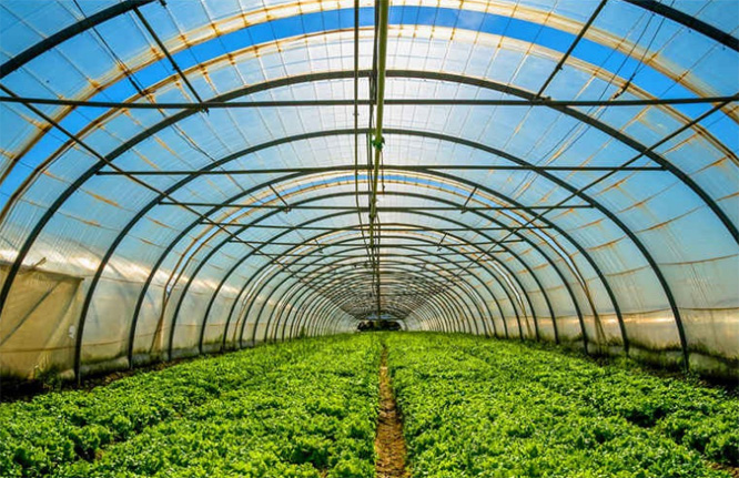 ���̰���