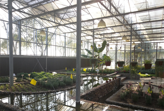 ���̰���