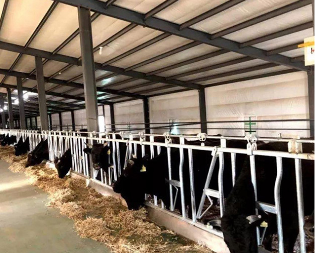 ���̰���